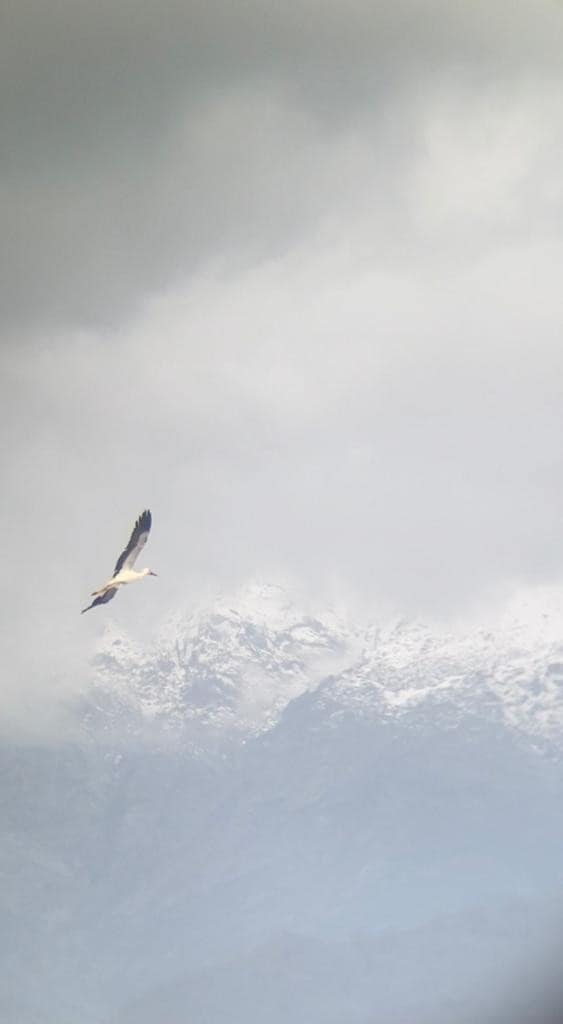 IMG-20220329-WA0016_copy_563x1024