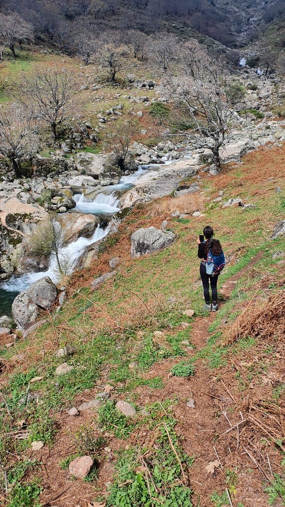 20220327_131817_copy_576x1024