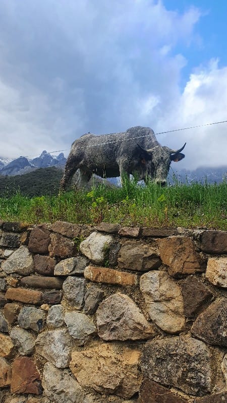 20220331_183432_copy_450x800