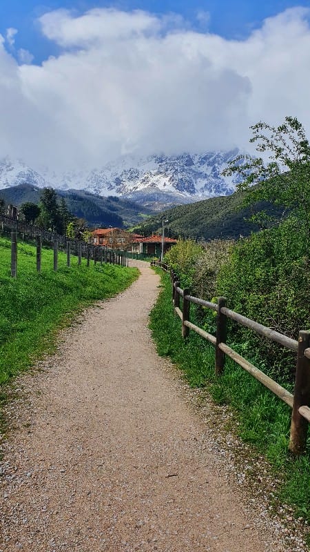 20220401_162945_copy_450x800