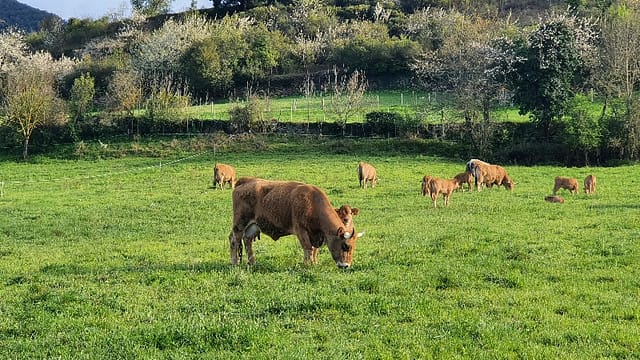 20220401_184949_copy_800x450