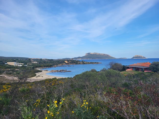 WhatsApp Bild 2024-03-28 um 18.36.45_8931dfc1