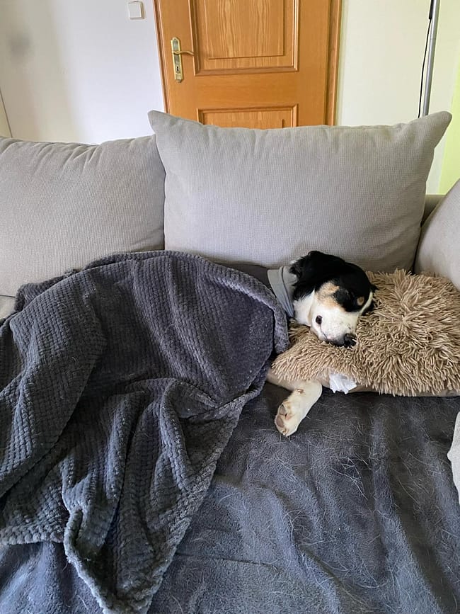 WhatsApp Bild 2024-03-07 um 17.15.22_3a1cc20b