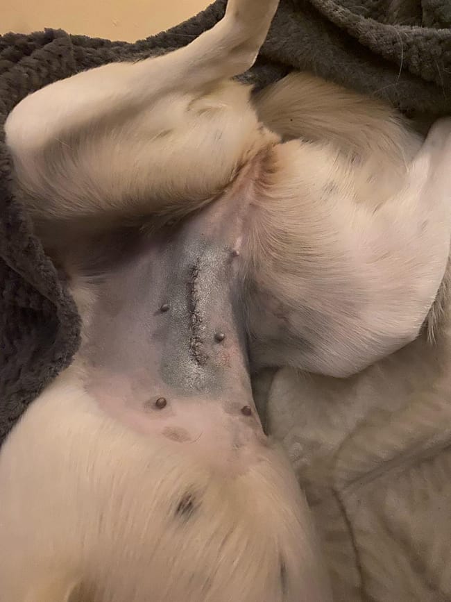 WhatsApp Bild 2024-03-07 um 17.15.22_8c8d076b