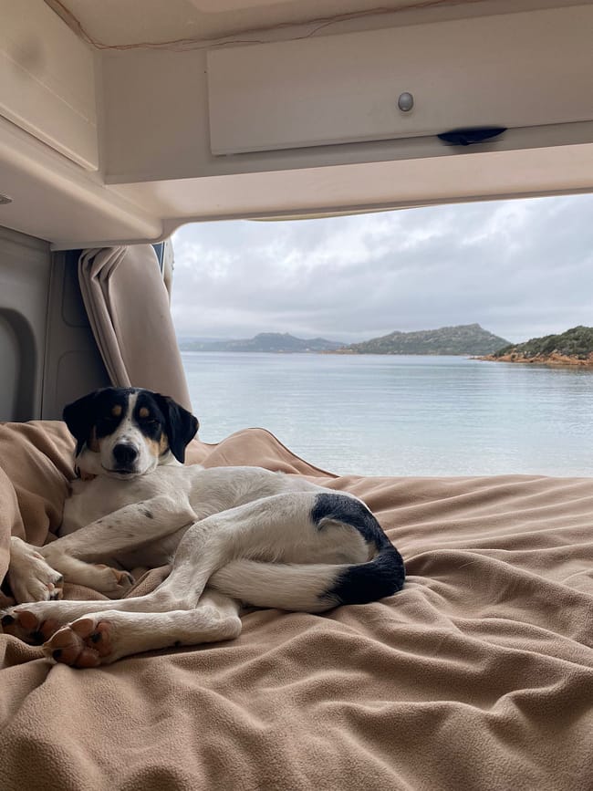 WhatsApp Bild 2024-03-26 um 20.00.07_12ce44f9