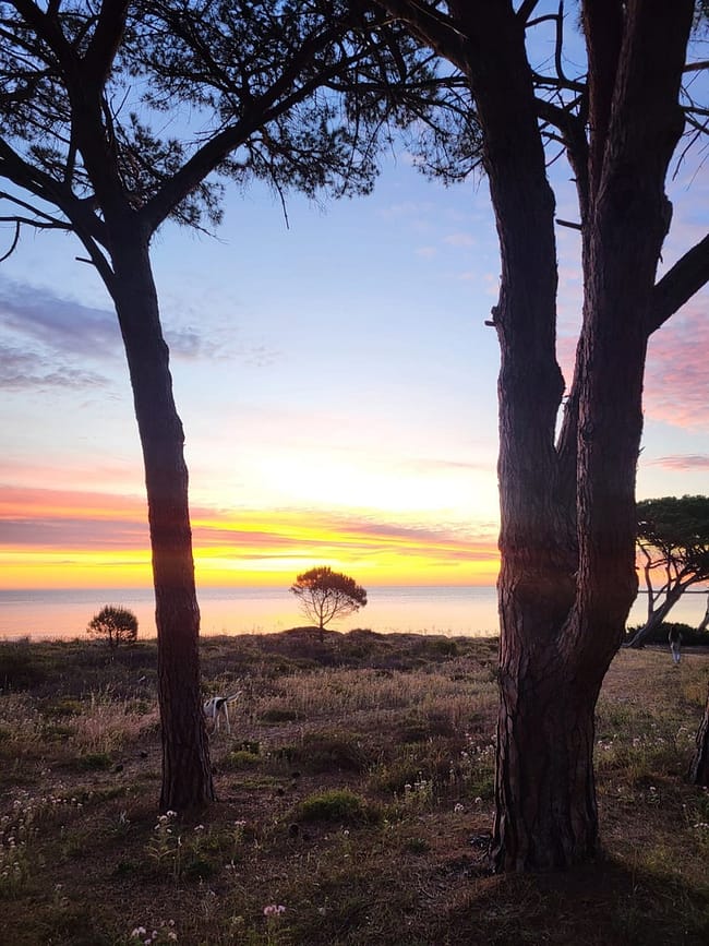 WhatsApp Bild 2024-05-09 um 17.43.12_8f90e44f