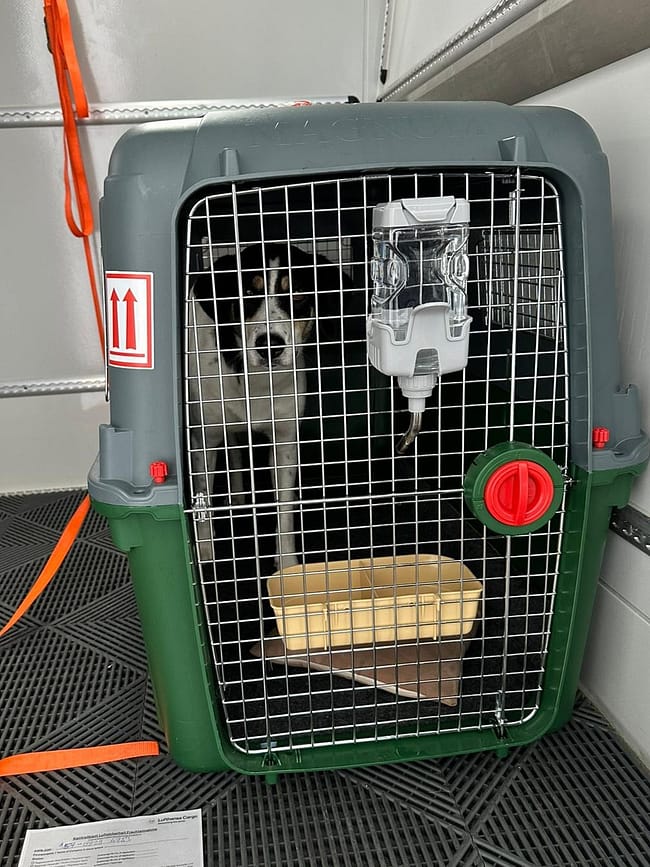 WhatsApp Bild 2024-07-01 um 10.52.40_499b149a