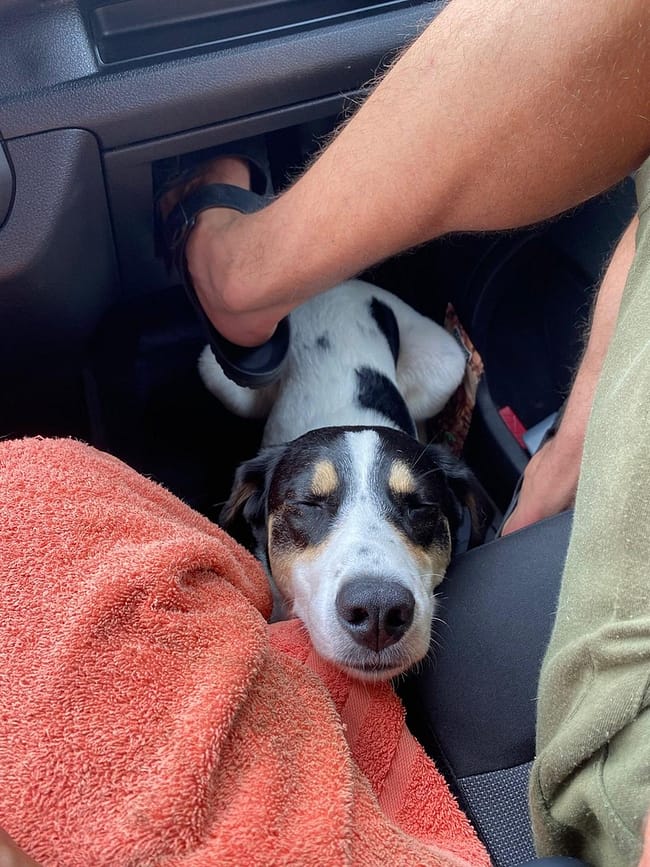 WhatsApp Bild 2024-07-11 um 23.40.15_73ff18b5