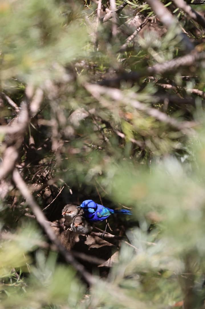 WhatsApp Bild 2024-11-01 um 10.22.53_999af087