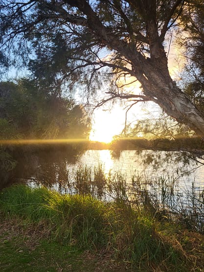 WhatsApp Bild 2024-08-30 um 12.10.23_96de2936