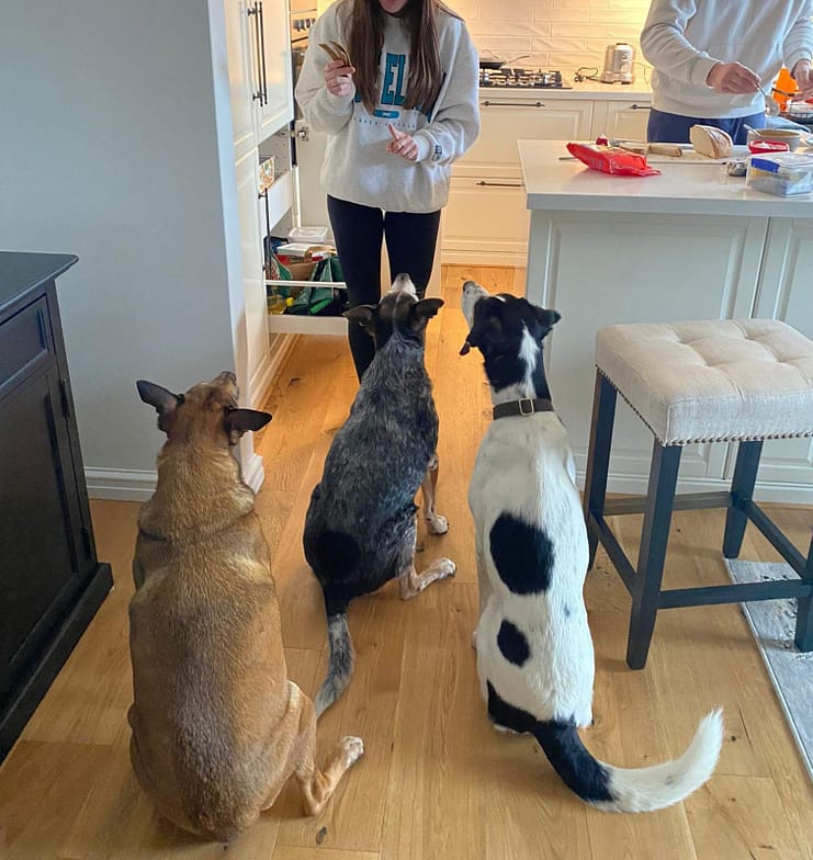 WhatsApp Bild 2024-07-19 um 00.52.54_cb64a350