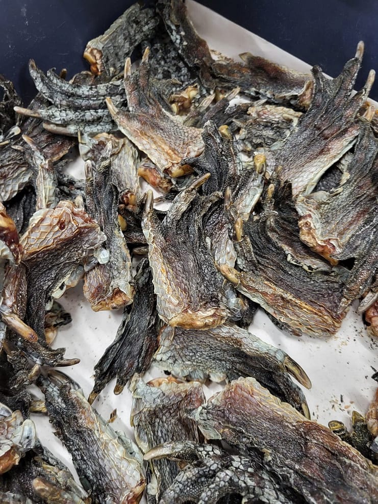 WhatsApp Bild 2024-07-19 um 00.52.55_eb81f2cc