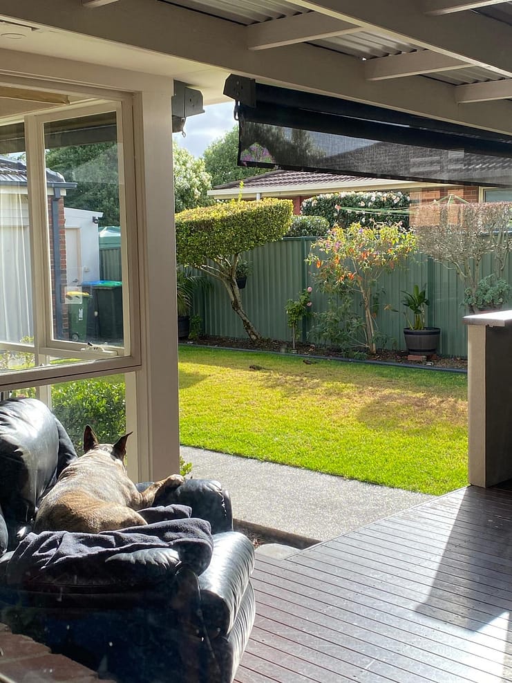 WhatsApp Bild 2024-07-19 um 05.34.16_becf0356