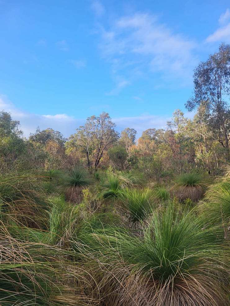 WhatsApp Bild 2024-08-30 um 12.02.55_15ca1d12