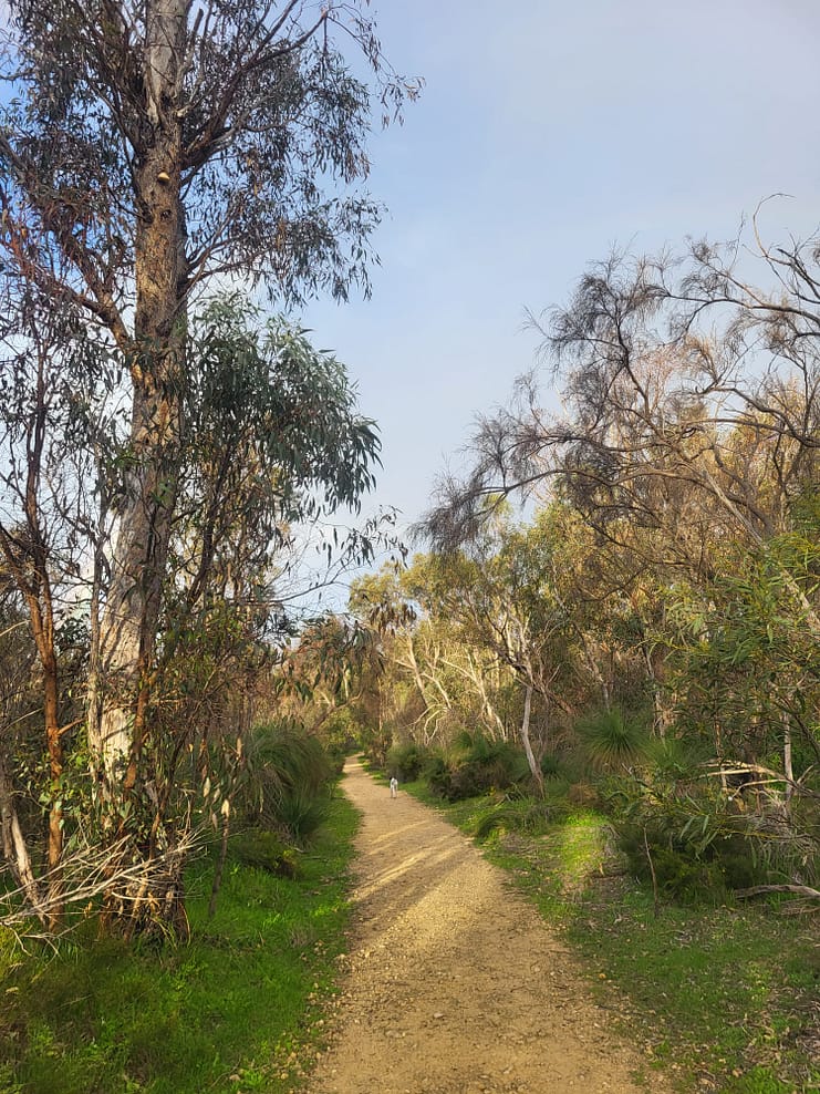 WhatsApp Bild 2024-08-30 um 12.02.56_b967a0f1