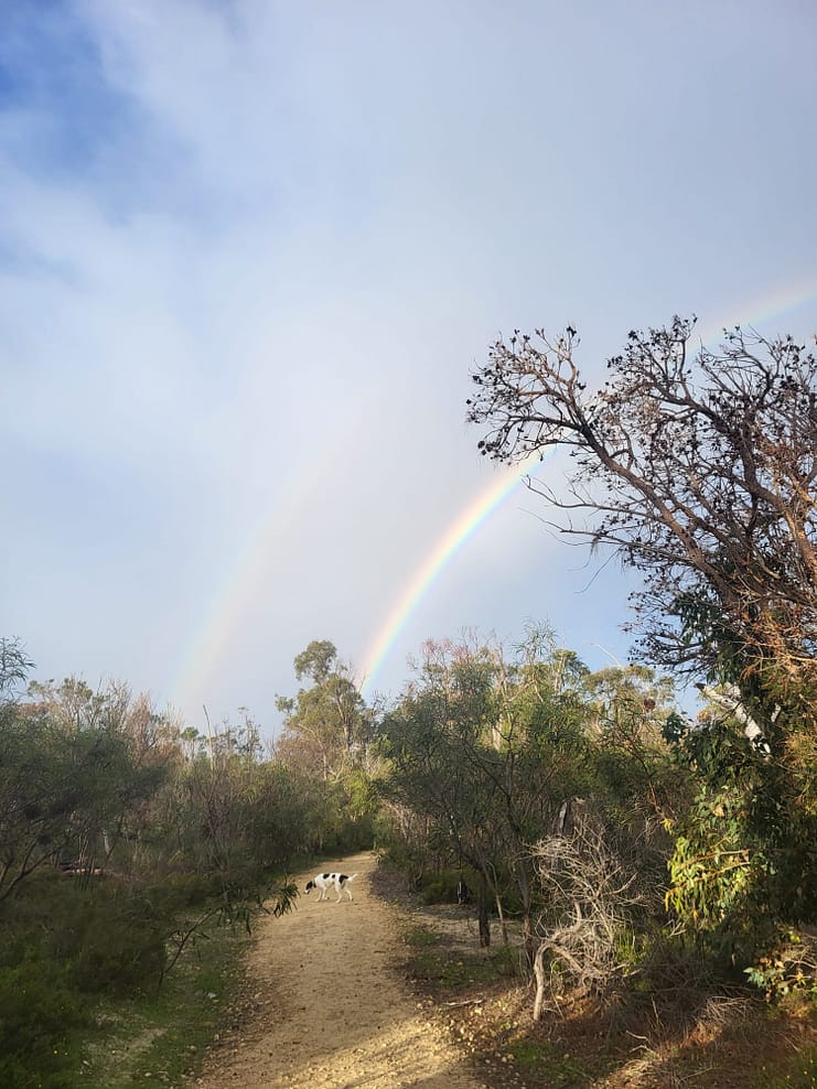 WhatsApp Bild 2024-08-30 um 12.02.56_e835a118