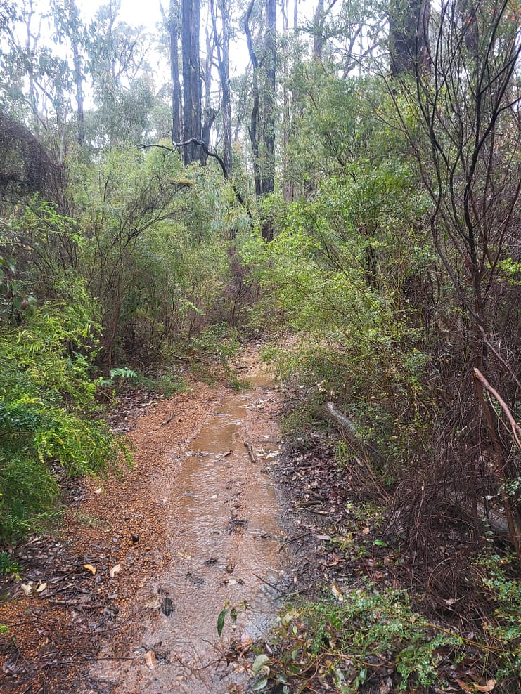 WhatsApp Bild 2024-11-01 um 10.52.51_0a117686