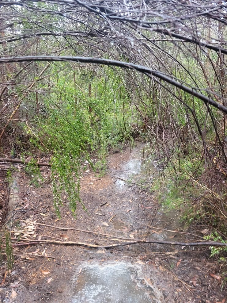 WhatsApp Bild 2024-11-01 um 10.52.51_a5b865c1