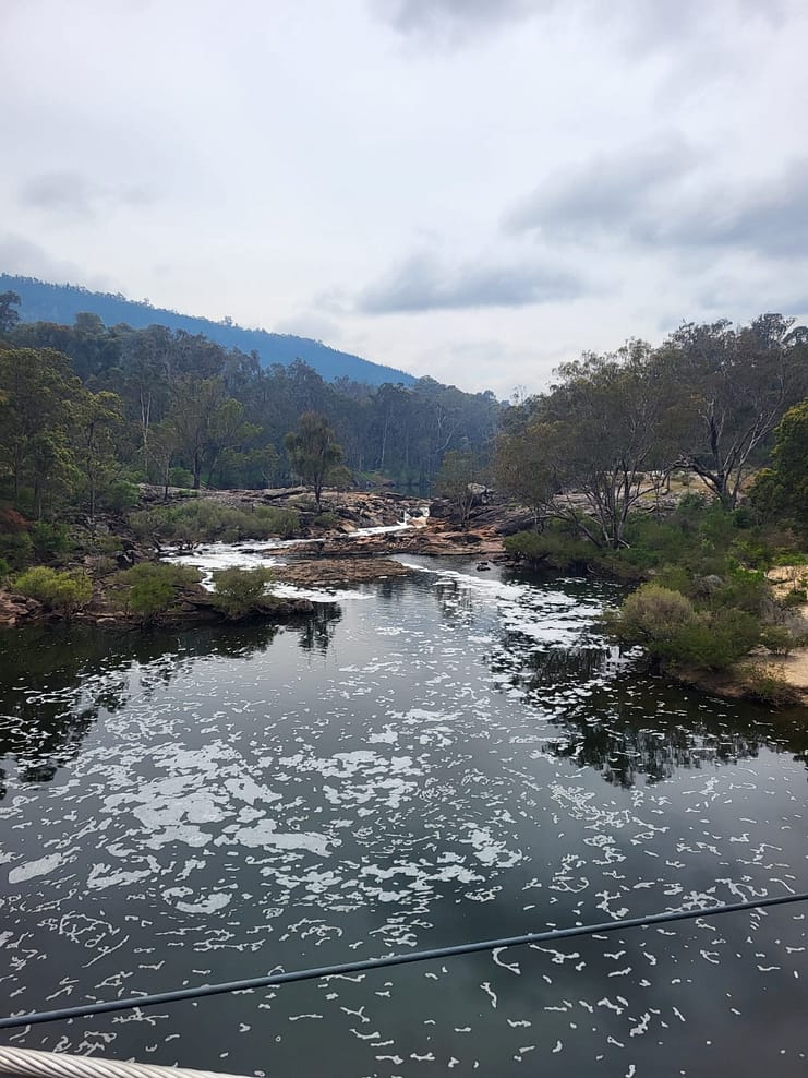 WhatsApp Bild 2024-11-01 um 10.52.52_dad121b2