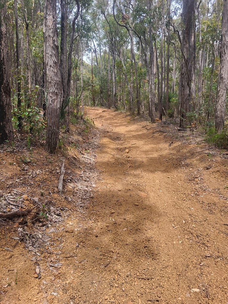 WhatsApp Bild 2024-11-01 um 10.52.54_1e62dab3