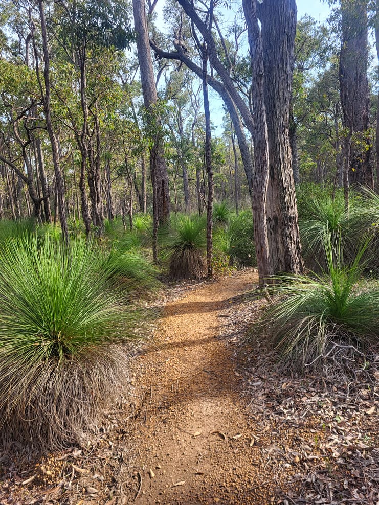 WhatsApp Bild 2024-11-01 um 10.52.54_2bd9f1d2