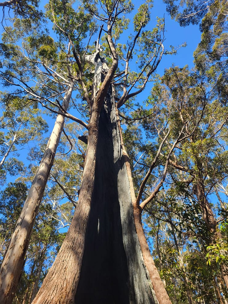 WhatsApp Bild 2024-11-01 um 11.07.44_51b17e4e