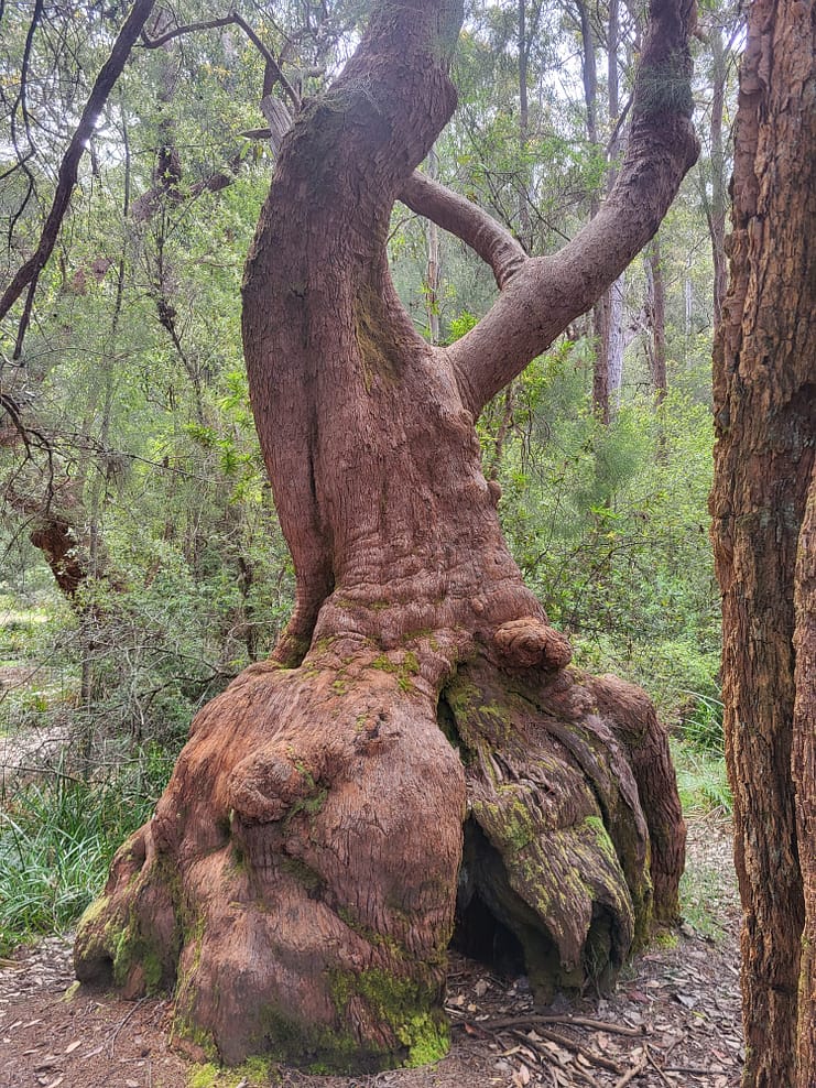 WhatsApp Bild 2024-11-01 um 11.07.49_5cc9756d