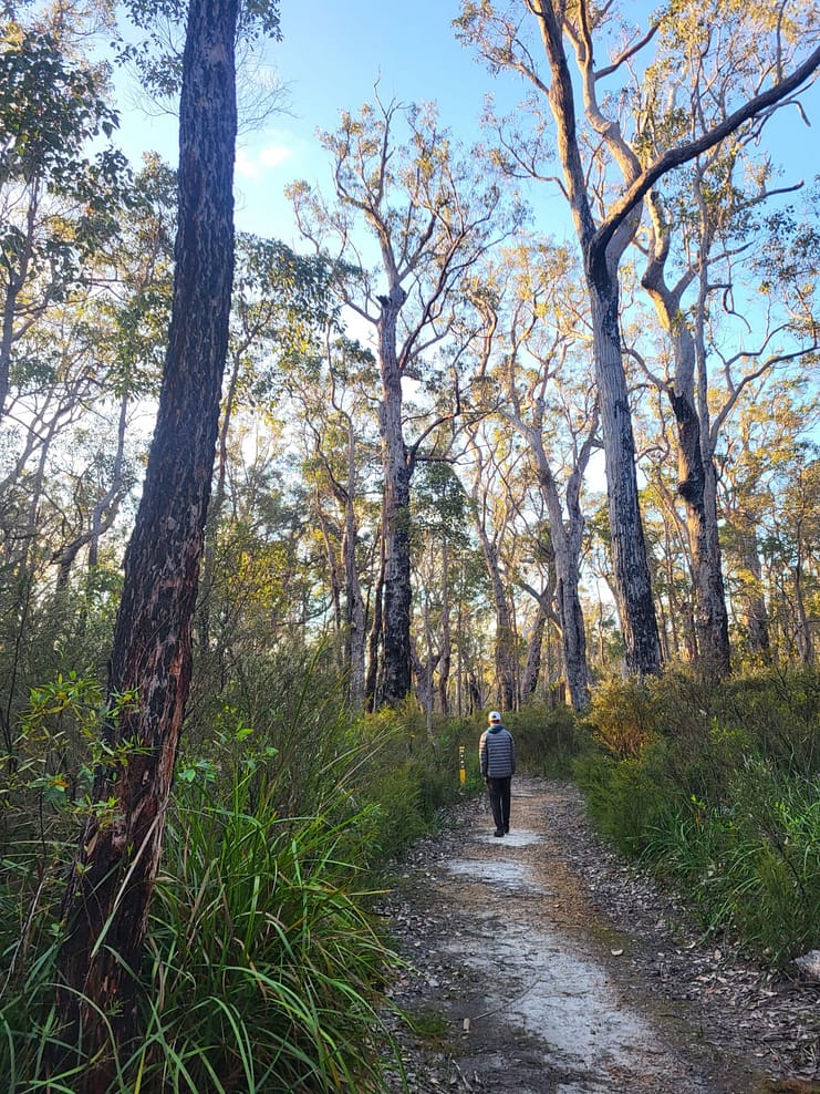 WhatsApp Bild 2024-11-01 um 11.07.51_2ca16b9c