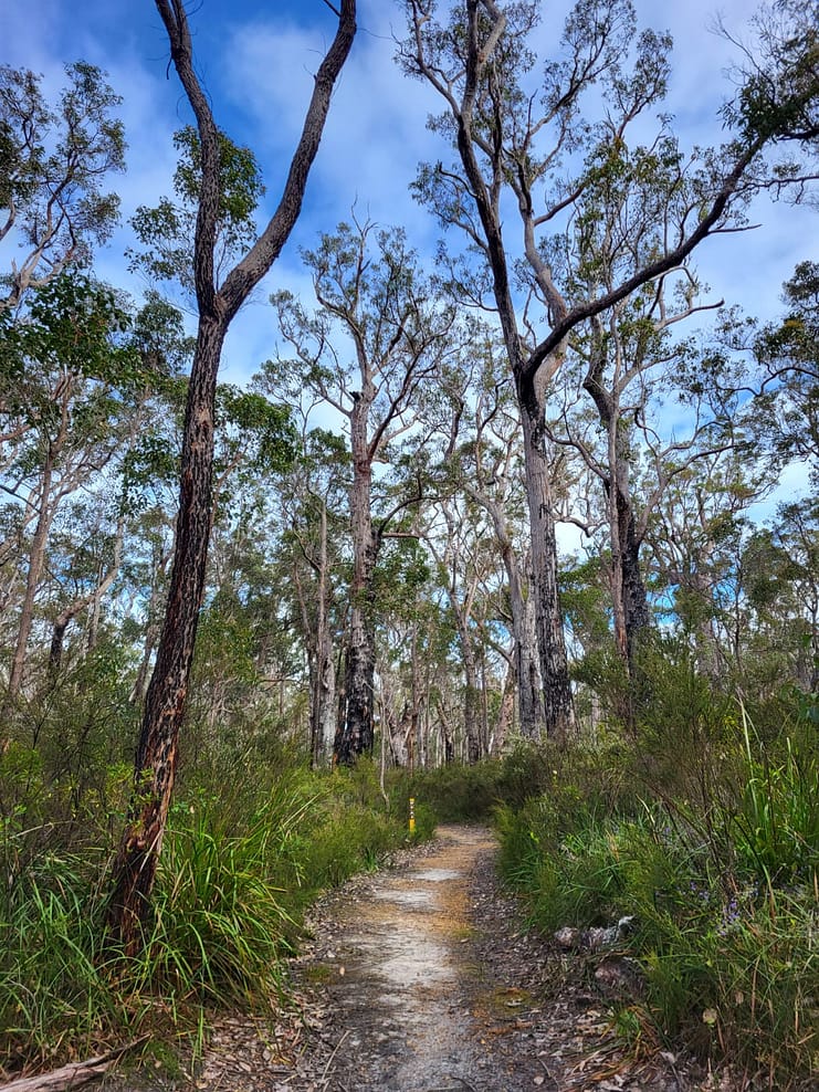 WhatsApp Bild 2024-11-01 um 11.07.51_adf94cd2