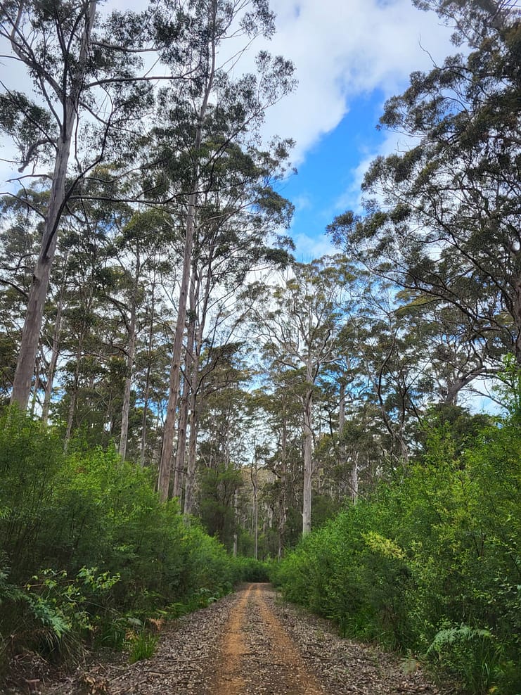 WhatsApp Bild 2024-11-01 um 11.07.52_0d9b6f30