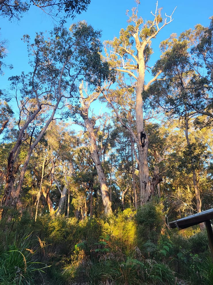 WhatsApp Bild 2024-11-01 um 11.07.52_f667ee9a