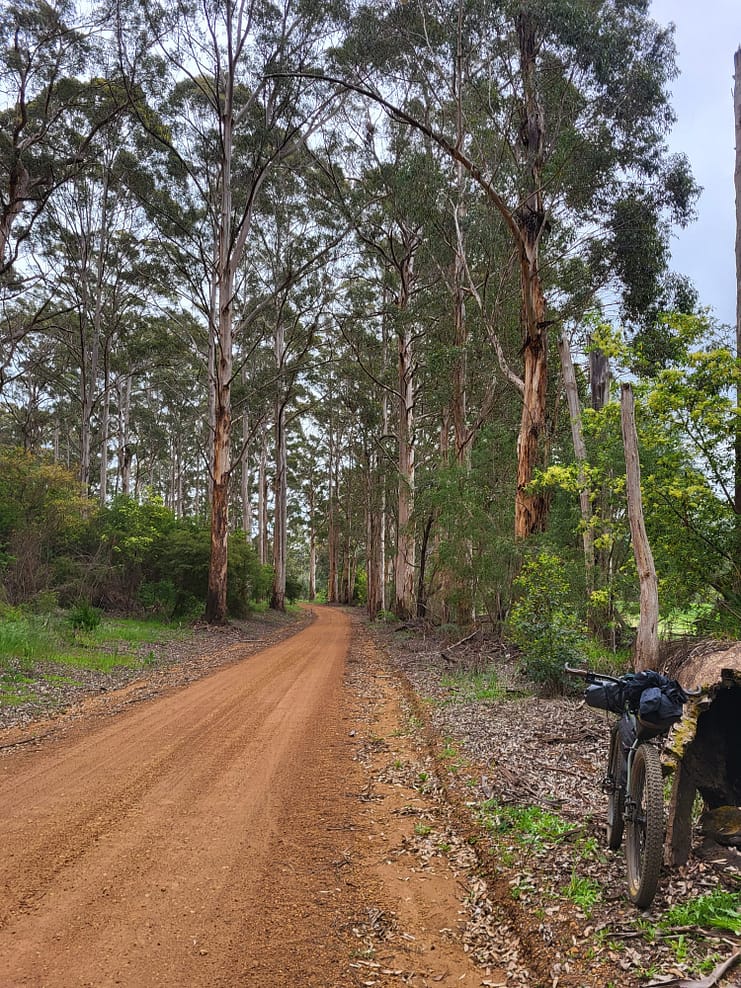 WhatsApp Bild 2024-11-01 um 11.08.04_60fec917