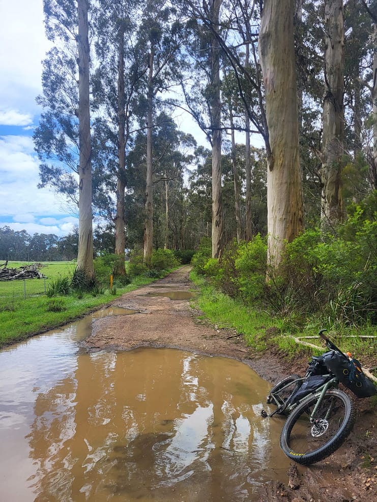 WhatsApp Bild 2024-11-01 um 11.08.05_0b2a6a9d