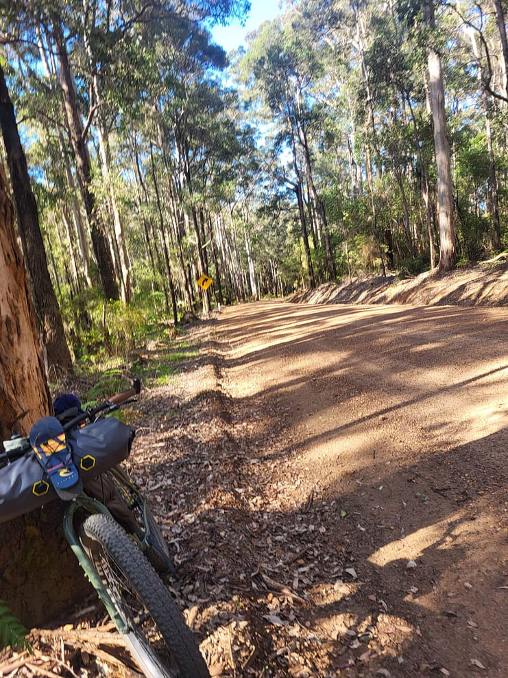 WhatsApp Bild 2024-11-01 um 11.08.06_f8e71c88