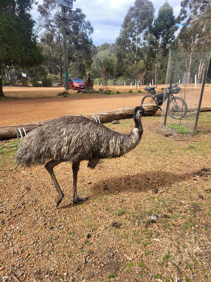 WhatsApp Bild 2024-11-01 um 11.08.09_bc34bd50