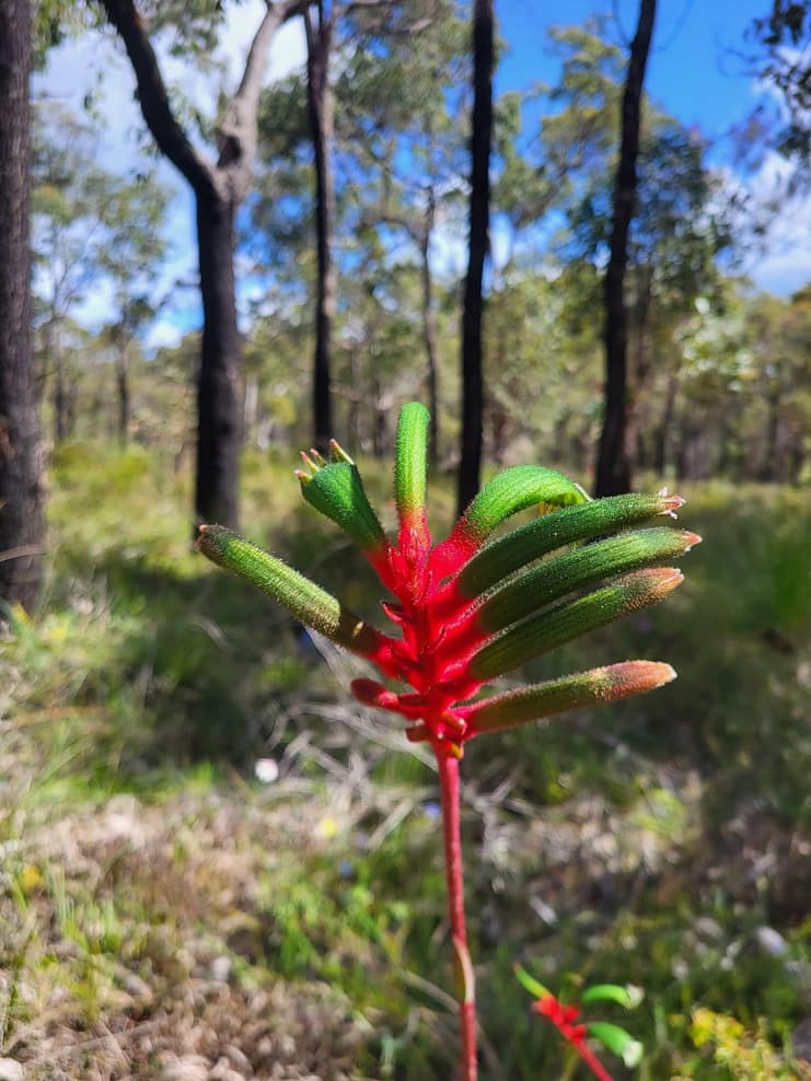 WhatsApp Bild 2024-11-01 um 11.08.11_ac813f3b