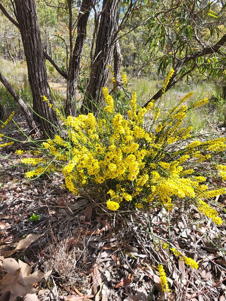 WhatsApp Bild 2024-11-01 um 11.08.11_c1efe6ee