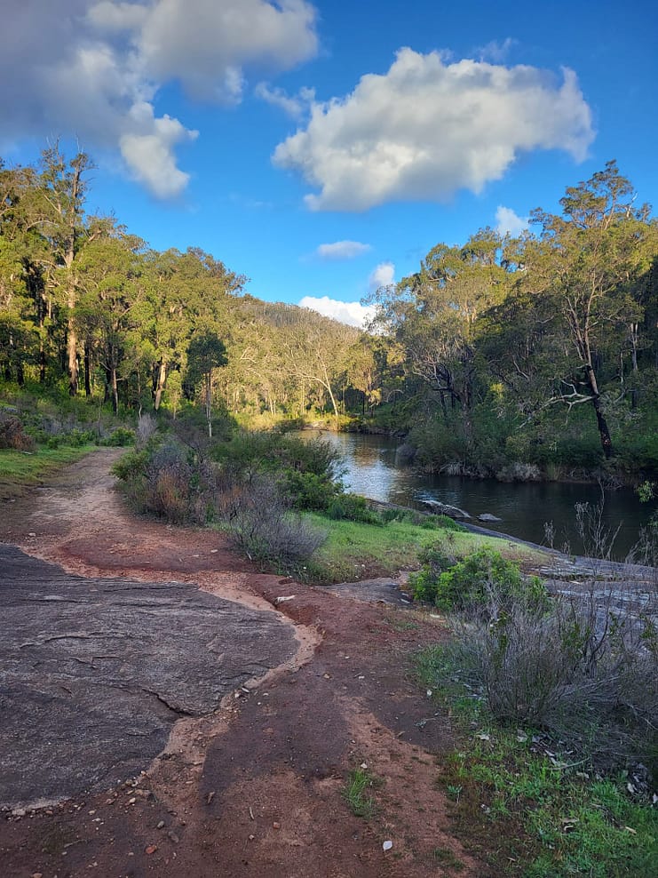 WhatsApp Bild 2024-11-01 um 11.08.13_0e6b833f