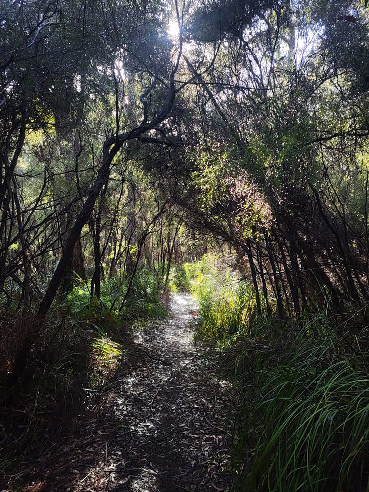 WhatsApp Bild 2024-11-01 um 11.08.15_7fe73542